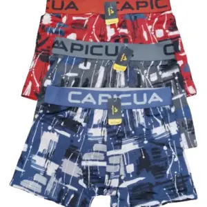 Alternative view of BOXER SEDA FRÍA CAPICUA ESTAMPAS SURTIDAS
