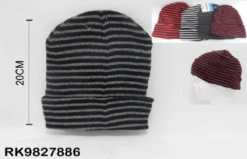 Alternative view of GORRO ROCKY RAYADO