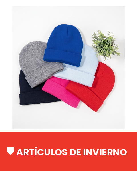 ART DE INVIERNO