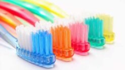 PACK X12 CEPILLOS DE DIENTES